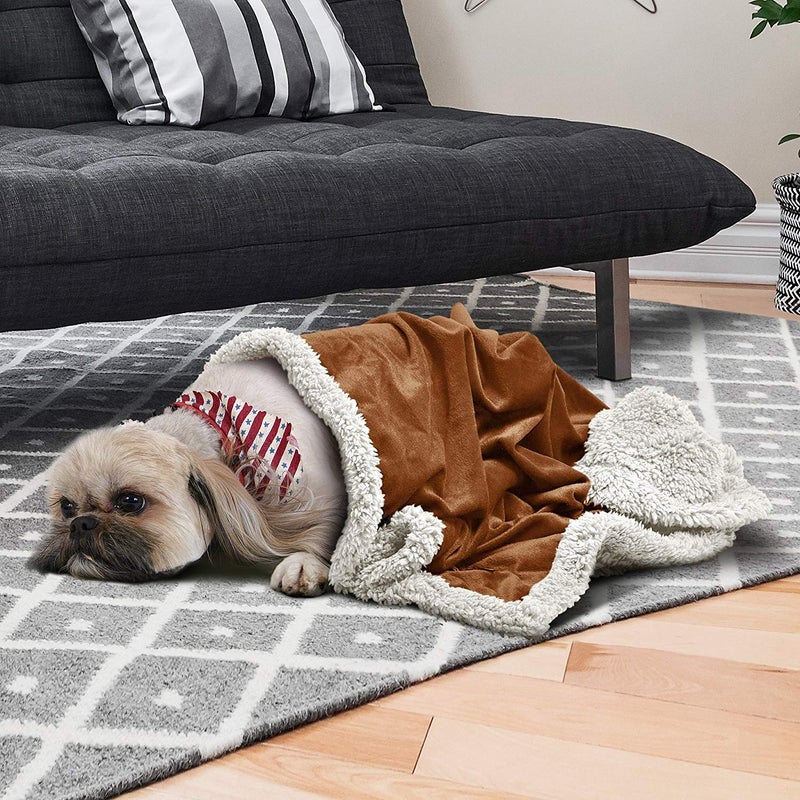 Kritter Planet Dog Blankets for Small Dogs, Soft Puppy Blanket, Pet Blankets for Cats, Lightweight & Washable, Perfect for Dog Beds, Car Seats, Creat, 30x40 inches - Image 5
